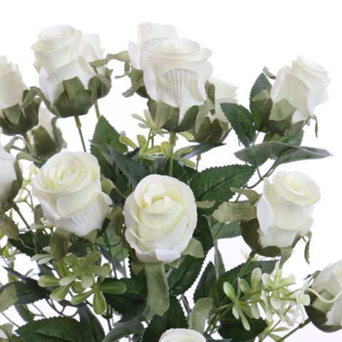 ROSEBUD X18 BUSH 50CM CREAM