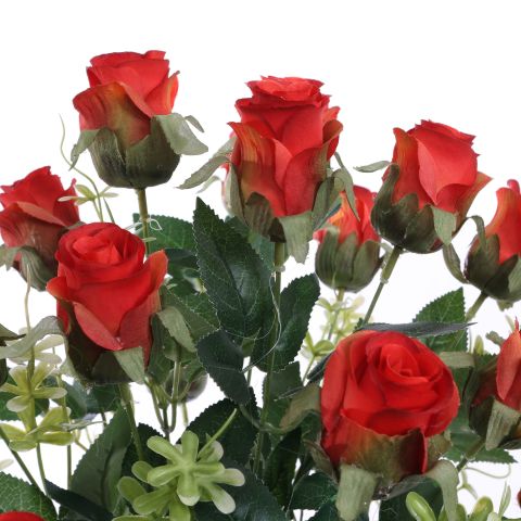 ROSEBUD X18 BUSH 50CM ORANGE