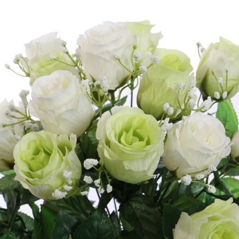 ROSEBUD X18 BUSH 42CM CREAM GREEN