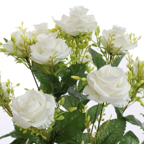 ROSE X18 BUSH 51CM CREAM