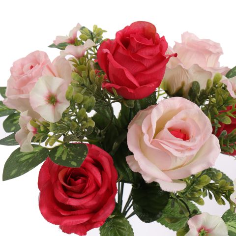 ROSE X13 BUSH 33CM BEAUTY