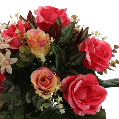 ROSE X24 BUSH 38CM BEAUTY