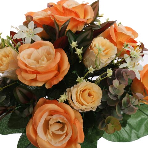 ROSE X24 BUSH 38CM ORANGE