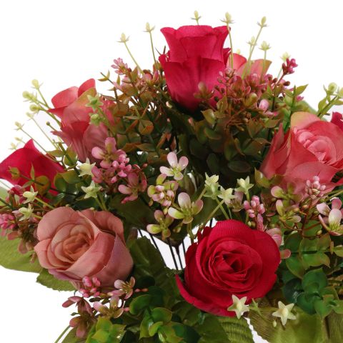 ROSE X22 BUSH 38CM BEAUTY