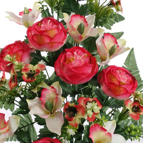 ROSE CYMBIDIUM X18 BUSH 60CM BEAUTY