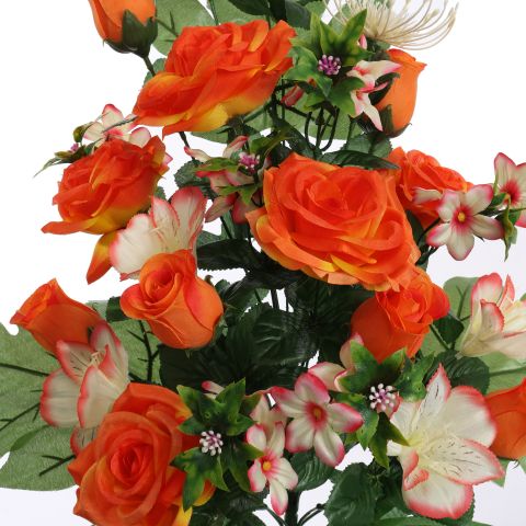 ROSE LILY X24 BUSH 62CM ORANGE