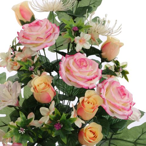 ROSE LILY X24 BUSH 62CM PINK