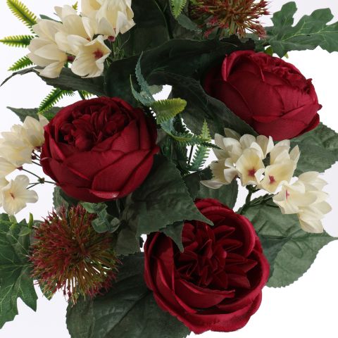 ROSE ALLIUM X12 BUSH 50CM BURGUNDY