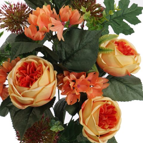 ROSE ALLIUM X12 BUSH 50CM ORANGE