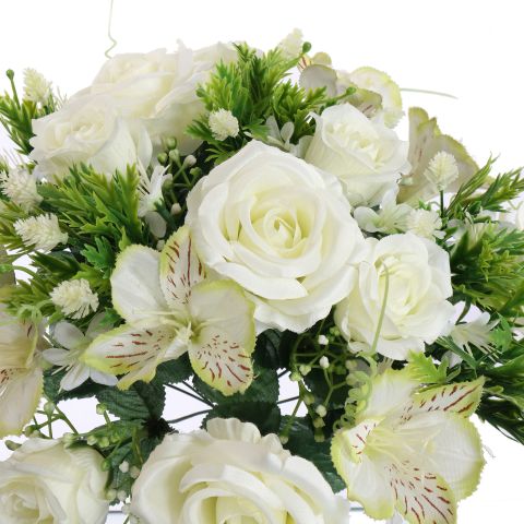 ROSE LILY X24 BUSH 36CM CREAM