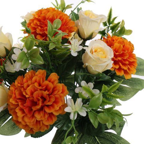 ZINNIA ROSE X18 BUSH 36CM ORANGE