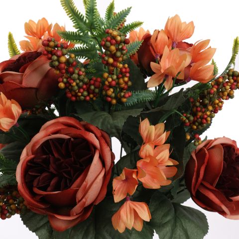 ROSE X18 BUSH 45CM BROWN