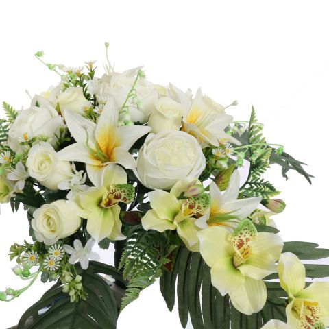WIDE ROSE CYMBIDIUM X32 BUSH 80CM CREAM