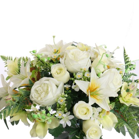 WIDE ROSE CYMBIDIUM X32 BUSH 80CM CREAM