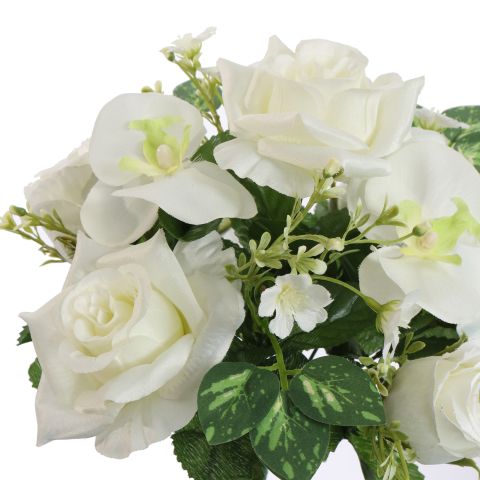 ROSE ORCHID X13 BUSH 34CM CREAM