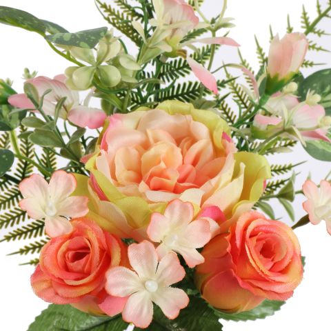 ROSE PEONY X6 BUSH 37CM ORANGE