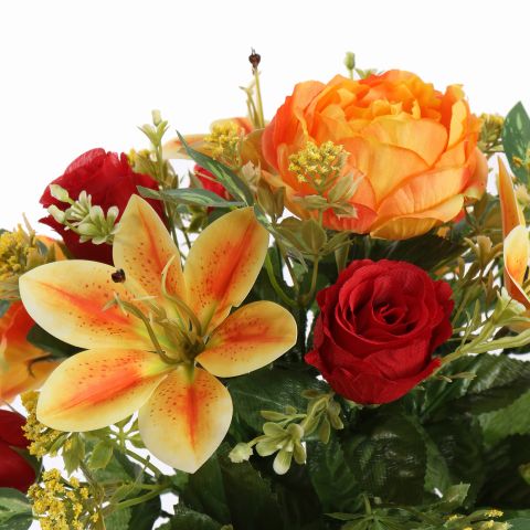 PEONY ROSE X24 BUSH 42CM ORANGE