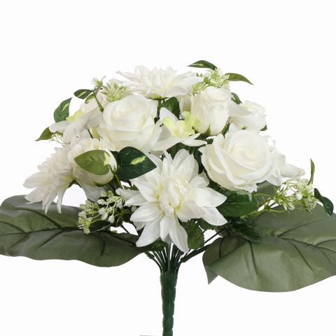 50210084-cr_0.jpg
