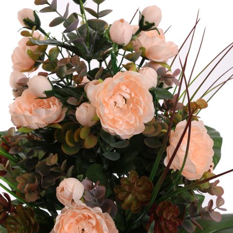 PEONY AGAVE X22 BUSH 50CM PINK