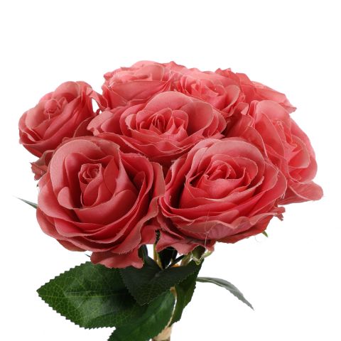 ROSEBUD X9 BUNDLE 36CM BEAUTY