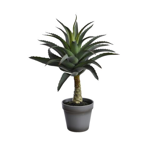 56110038-grey_0.jpeg