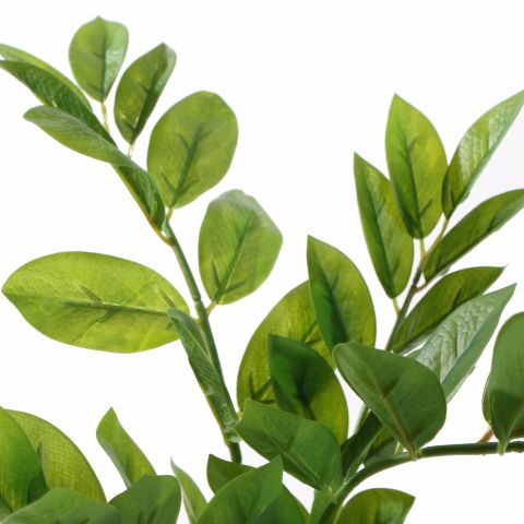 ZAMIFOLIA PLANT 33CM GREEN