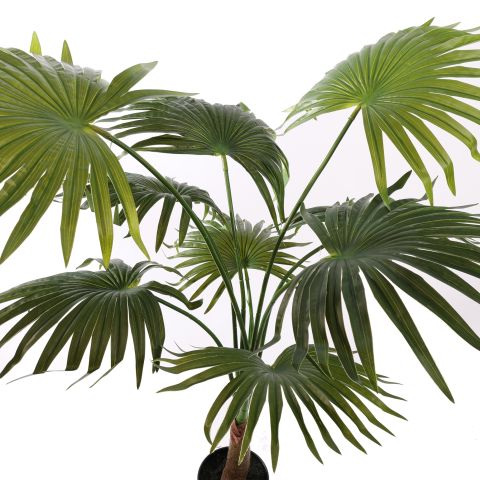 MOUNTAIN PALM 100CM GREEN