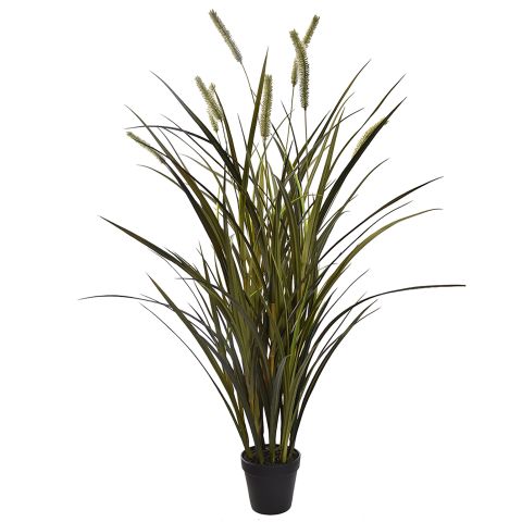 56140049-gr_0.jpeg