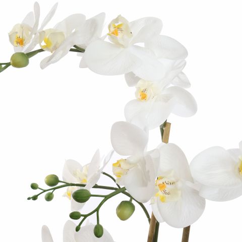 ORCHID X3 IN POT 62CM WHITE