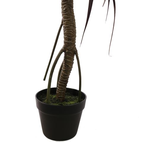 DRACEANA PALM IN POT 90CM GREEN