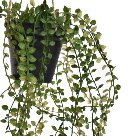 MINI HANGING LVS IN POT 50CM GREEN