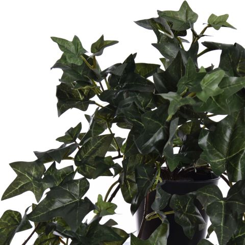 HANGING BUSH IN POT 60CM ENGLISH