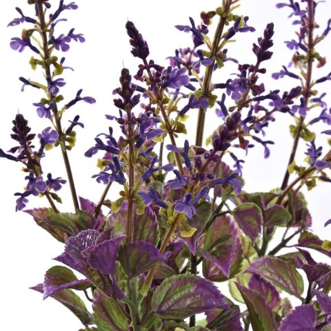 LAVENDER IN GREY POT 50CM LAVENDER