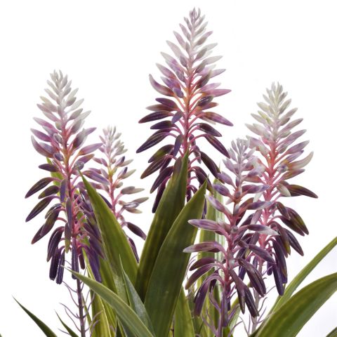 ALOE FLOWER IN POT 55CM LAVENDER