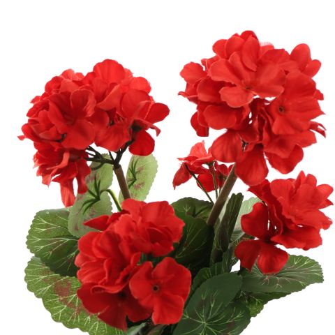 GERANIUM IN POT 31CM RED