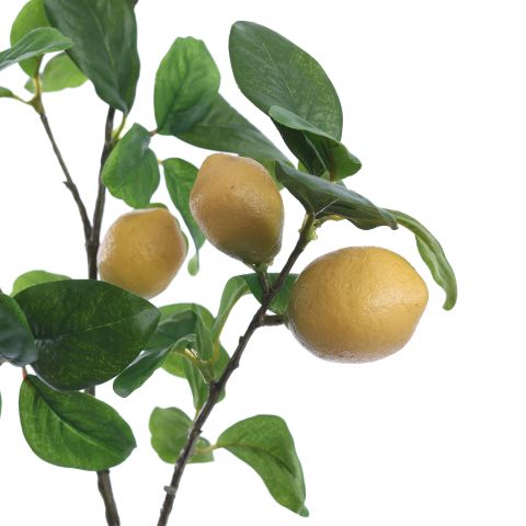 LEMON PLANT IN POT 45CM YELLOW 