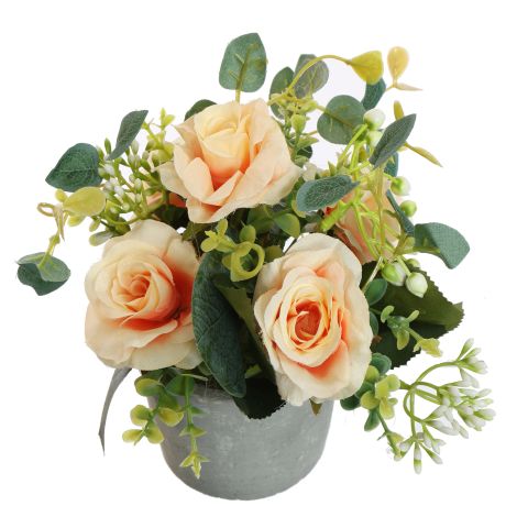 ROSE IN POT 17CM SALMON