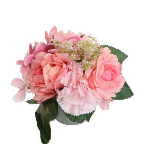 ROSE CARNATION IN POT 17CM PINK