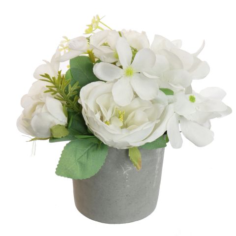 56410027-cr_0.jpeg