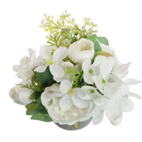 CABBAGE ROSE IN POT 20CM CREAM