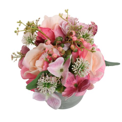ROSE THISTLE IN POT 18CM PINK