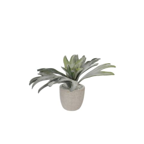 59010106 GREY.jpg