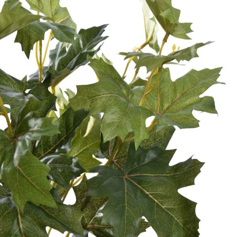 MAPLE LEAF BUSH 48CM NORWAY