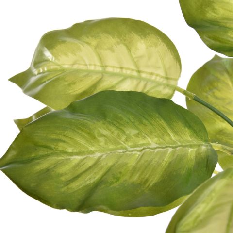 BUSH W/12LVS 40CM GOLDEN DIEFFENBACHIA
