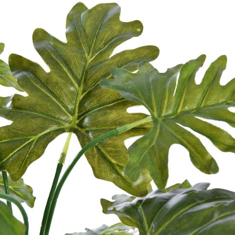 BUSH W/12LVS 40CM SELLUM PHILO