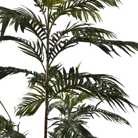 ARECA PALM W/68 LVS 210 CM GREEN