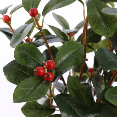 CYTRUS LEAF PLANT 30CM RED