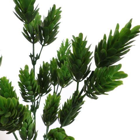 HOPFLOWER BUSH 32CM GREEN