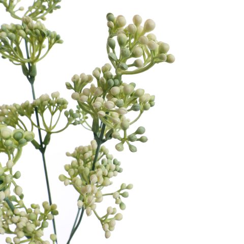BERRY BUSH 30CM CREAM