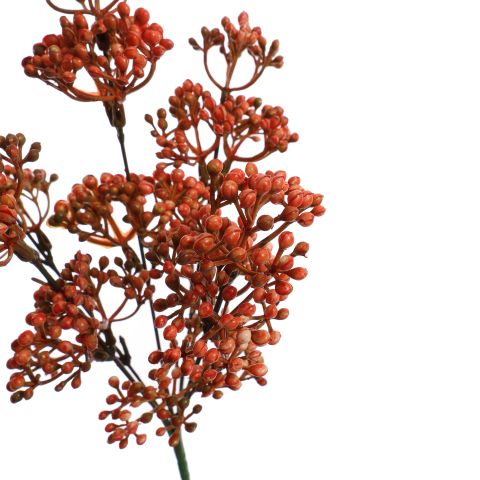 BERRY BUSH 30CM ORANGE